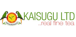 logo-kaisugu