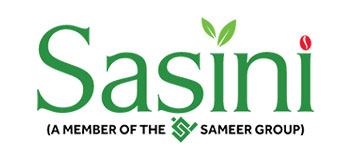 logo-sasini